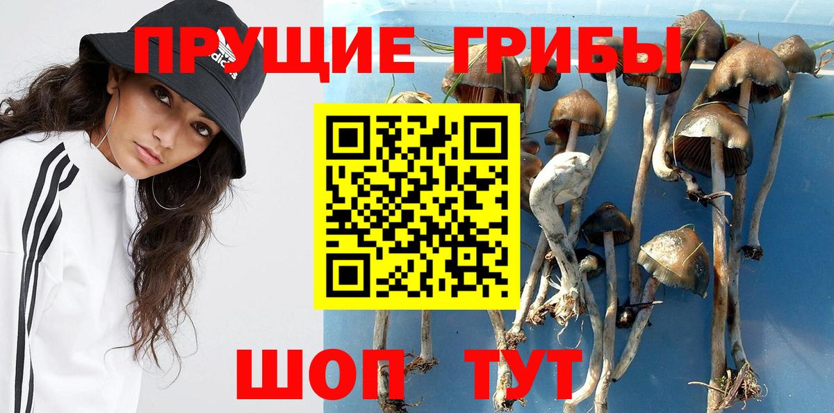 Псилоцибиновые грибы мухоморы  Вход с VPN  Псилоцибиновые грибы ЛСД  Сердобск 